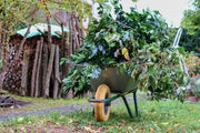 Verde d’Autunno: Cura e Bellezza del Tuo Giardino