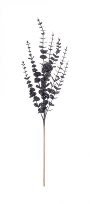 Ramo Jada Nero 12x H75Cm