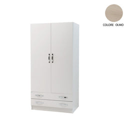 Armario con 2 puertas y 2 cajones Caja frontal blanca Olmo Cm 91x52xH 210