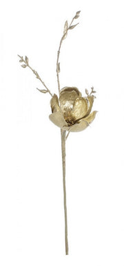 Pick Nature Magnolia Foglie Champagne 12x