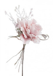 Pick Rosa Ahura Rosa C 12x