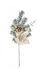 Pick Dorette Poinsettia Champagne 12x H50Cm