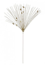 12x Brillo Oro C-Stelle