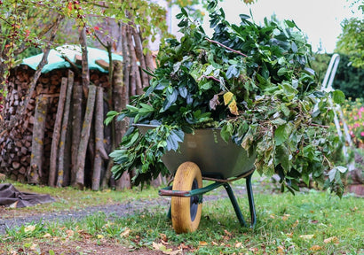 Autumn Green: cuidado y belleza de su jardín