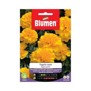 Semillas de Caléndula Enana Double Yellow Blumen