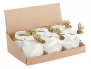 12x Vela Prof Kim C-Vt Pigna en Disp6