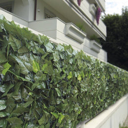 HOJAS DOBLES DE HIEDRA SIEMPRE VERDE