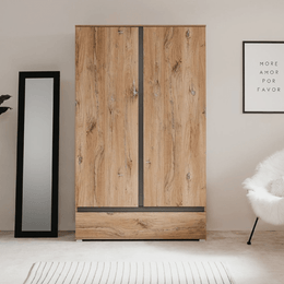 Armario antiguo de roble Unna60A con dos puertas y cajón.