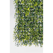 Sprouts de pared sintética Buxus en polietileno 50x50 cm