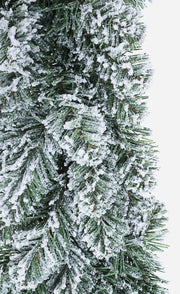 Crown Innsbruck Nevado D75