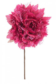 12x Pick Rosa Frisé Borgoña