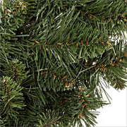 6x Latas Corona Cansiglio D60