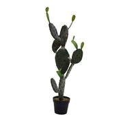 Planta de cactus con maceta negra 45 x 60 xh 119 cm