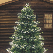 Cadena led blanco cálido 1100 MiniLED 11.5m