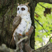 Estatua de jardín de búho Verdelook