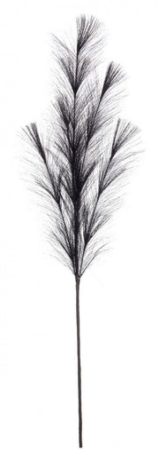 Ramo Nelly Pampas Negro H100 - 12x