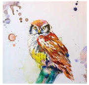 Quadro gufo yc-1943 cm. 80 x 80