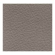 Silla elevadora Ascensor 2 motores gris tórtola