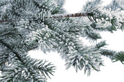 Pino Elbrus Innevato H150 - Árbol de Navidad Nevado de 150 cm de altura
