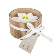 12x Vela Estrella de Navidad Blanco C