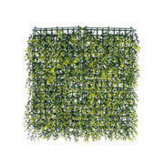 Sprouts de pared sintética Buxus en polietileno 50x50 cm