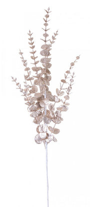 Ramo Jada Champagne 12x H75Cm