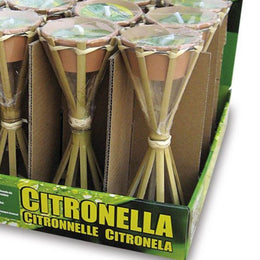 ALTAS ANTORCHAS EN LA EXPOSICIÓN. DESDE UDS. 16 horas