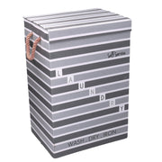 Cesto de ropa gris con tapa cm40x30h60