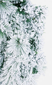 Corona Cermis Innevato D80 4x