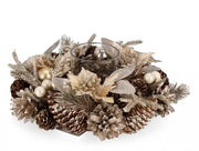 2x P.Candela 1P Alara a Poinsettia Champ