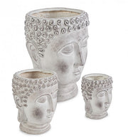Set3 P. Vaso Testa Buda