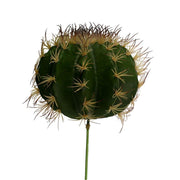 Rama de cactus verde cmø25h17-30