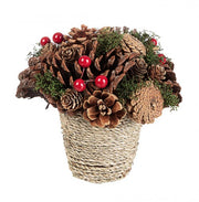 Composición Sequoia C 8x