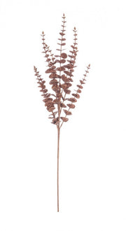 Ramo Jada Marrone 12x H75Cm