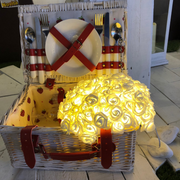 Ramo Rosa RBF Bianche 120 LED 4m + Ø30cm