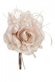 12x Pick Rosa Holly Beige