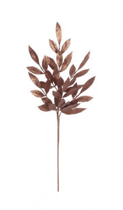 Ramo Nathan Marrone 12x H70Cm