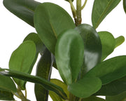 Planta plastico con maceta 25x25x35h cm