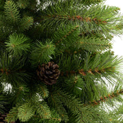 Árbol sinaí verde con piñas cmø137h240 con 2982 ramas