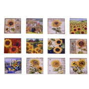 Imán de cerámica 12 piezas culo girasolc-expositor cm7,5x7,5