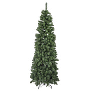 Monte Vettore árbol verde delgado 972 ramas cmø79h210