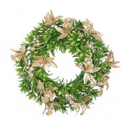 Corona Bethany Champagne D30 8x