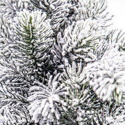 Árbol Oregon Innevado H60 6x