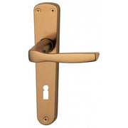 Tirador de puerta anodizado bronce BL F.Y.