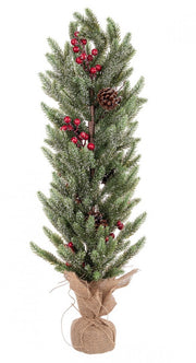3x Pino Oliver Bacche Rojo H70Cm