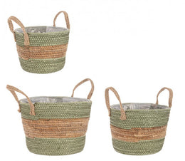 4x Set3 Camino 2M Alyce A Verde-Naturale