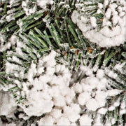 Corona Oregon D75 4x