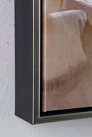 Pintado Aceite C-C Corona P227-1 72.5X72.5