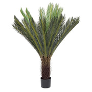 Planta con Cycas de palma de maceta 28 hojas 120h cm