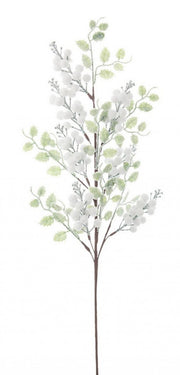 12x Ramo Jillie Bacche Blanco C